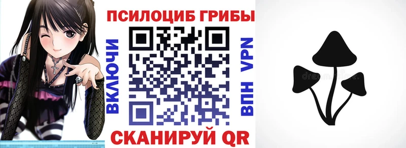 Псилоцибиновые грибы мухоморы  купить наркотики цена  мега как зайти  Видное 