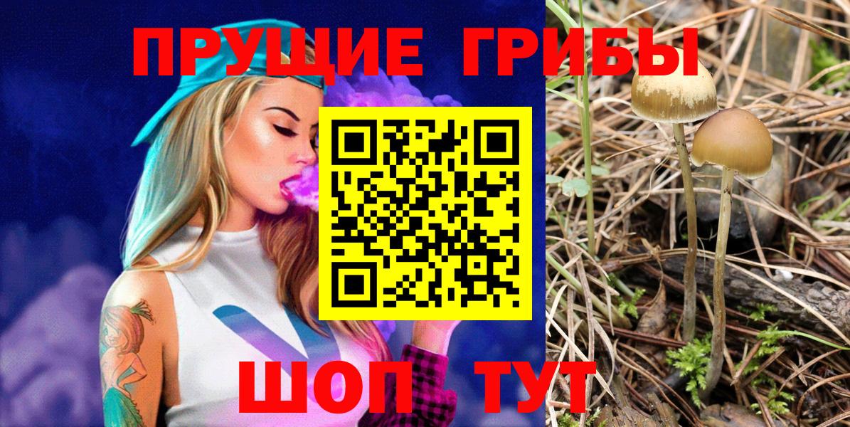Псилоцибиновые грибы мухоморы  Видное  Галлюциногенные грибы Magic Shrooms 