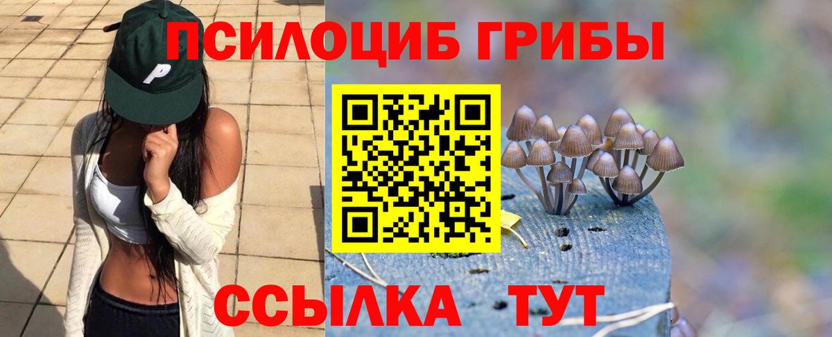 Галлюциногенные грибы мухоморы Видное